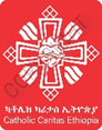 CCE-HA